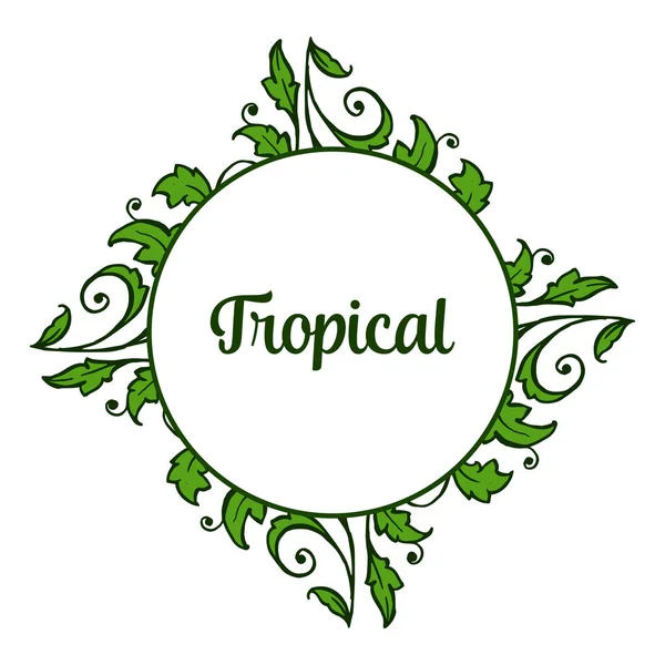 Texture carte tropicale avec cadre de feuilles vertes, isolé sur fond blanc. Vecteur — Image vectorielle