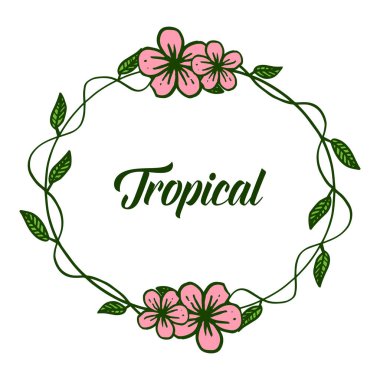 Beyaz arka plan, yaz tropikal izole doğal yaprak çiçek çerçevesi. Vektör