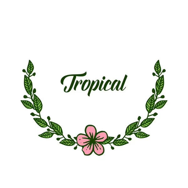 トロピカル、形状丸葉の花枠。ベクトル — ストックベクタ