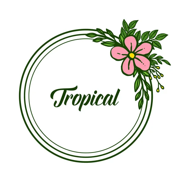 Arte de moldura de flor rosa para cartão tropical, em fundo branco. Vetor —  Vetores de Stock