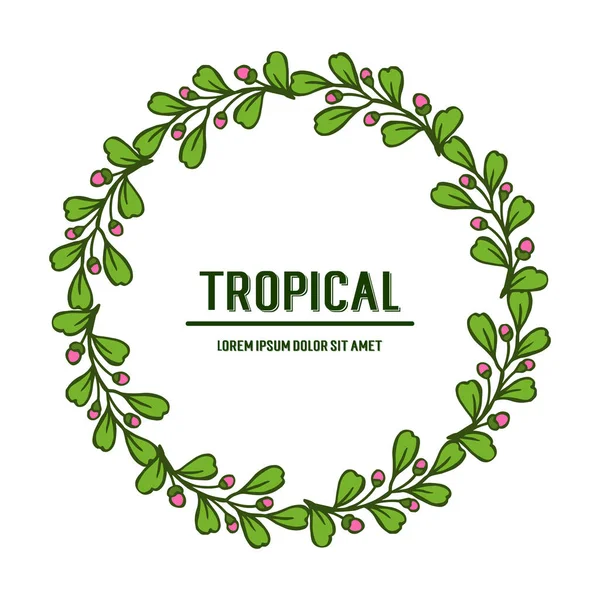 Plantilla tropical, aislada sobre fondo blanco, adornada con marco de corona de hojas. Vector — Vector de stock