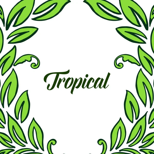 Napis letniego tropikalnego z wzorem sztuki zielonych liści ramki. Wektor — Wektor stockowy