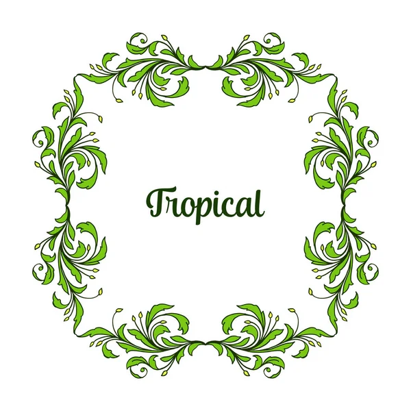 Zomer tropisch ontwerp met groene bladeren frame, geïsoleerd op witte achtergrond. Vector — Stockvector