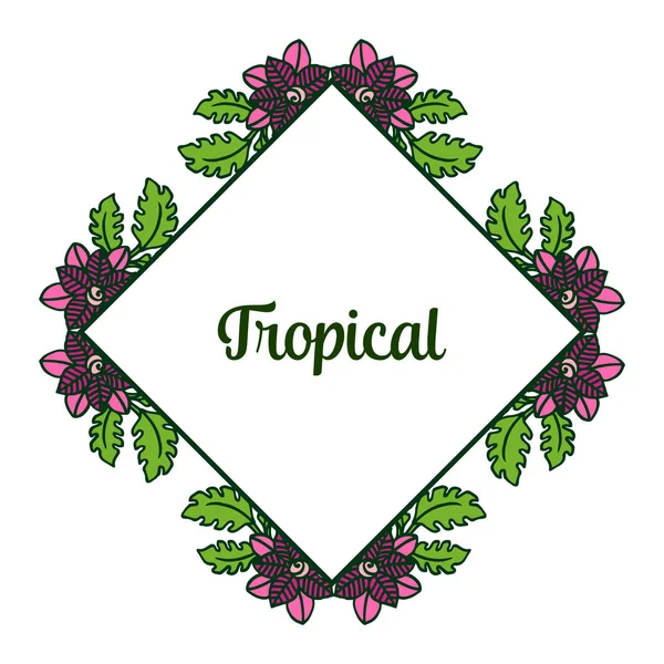 美丽的绿叶和花卉框架的贺卡夏季热带。向量 — 图库矢量图片
