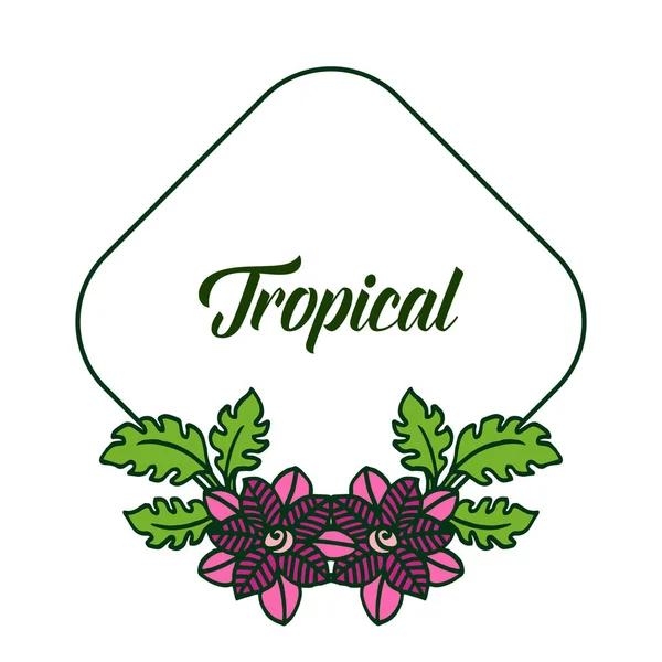 Krásné zelené listí a květinové rám pro přání v létě v letním tropickém. Vektorové — Stockový vektor