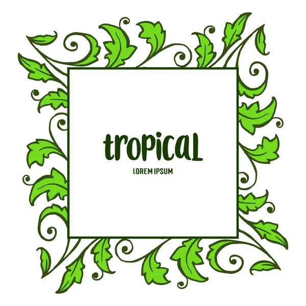 Decoración de la tarjeta de verano tropical con el arte de varias hojas verdes marco. Vector — Vector de stock