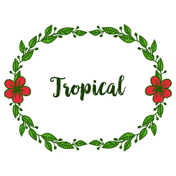 Ontwerp kaart Tropical, vorm circulaire blad bloem frame met ruimte voor tekst. Vector — Stockvector