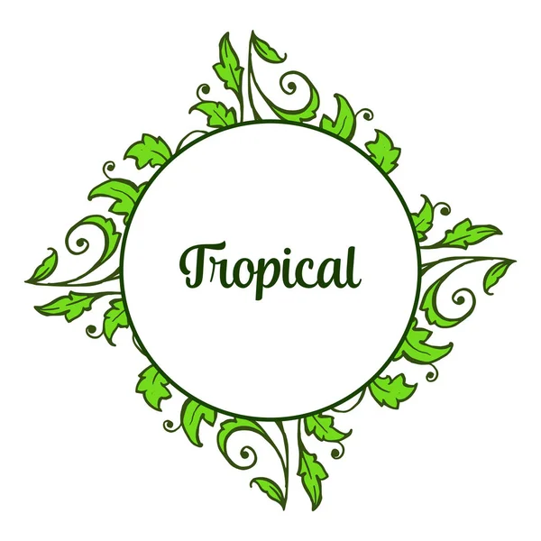 Kaart decor van de zomer tropisch met verschillende kunst van groene bladeren frame. Vector — Stockvector