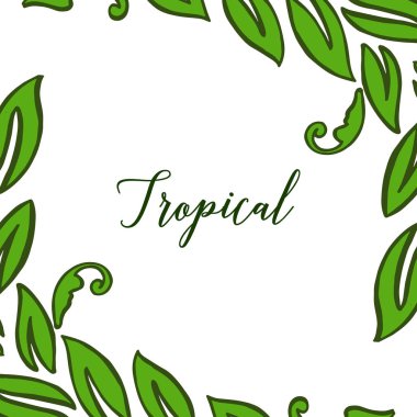 Yeşil yaprakların tropik, beyaz arka plan üzerinde izole. Vektör