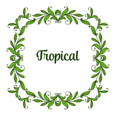 Çerçeve yeşil yaprakları, mektup tropikal ile güzel arka plan. Vektör