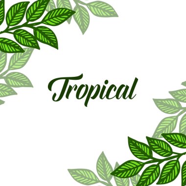 Kart şablonu tropikal, yeşil yapraklar çerçeve sanatı, beyaz arka plan üzerinde. Vektör