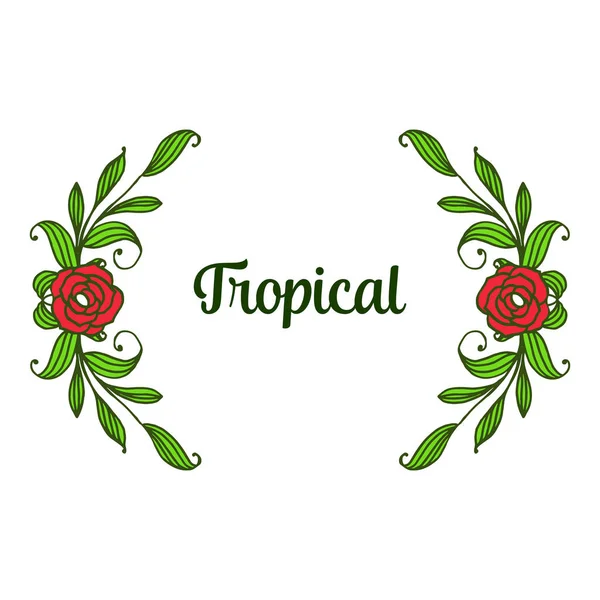 Tropische plant, sierlijke frame bloem rode roos en groene bladeren frame. Vector — Stockvector