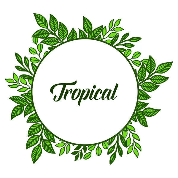 Elemento de design tropical, arte quadro folhas verdes. Vetor — Vetor de Stock