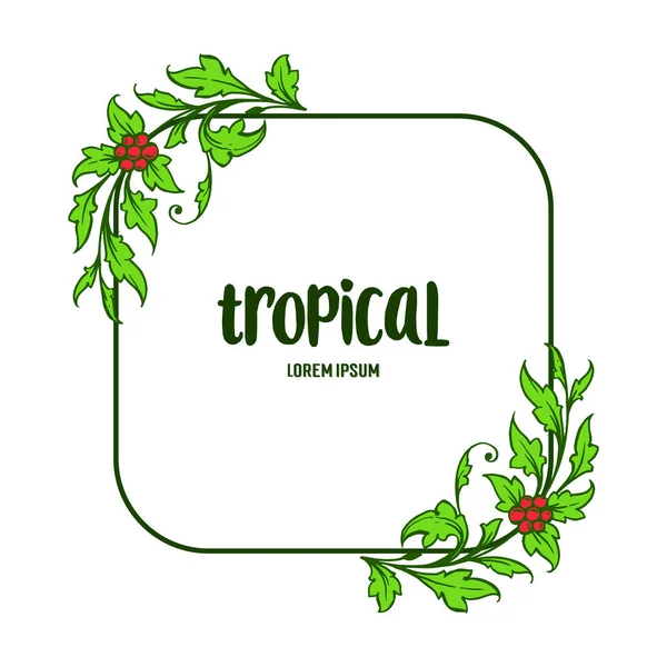 Hojas de palma tropical y marco de flores, aisladas sobre fondo blanco. Vector — Vector de stock