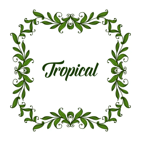 Tebrik kartı tasarım çiçek çerçeve ve yeşil yeşillik ile tropikal. Vektör — Stok Vektör
