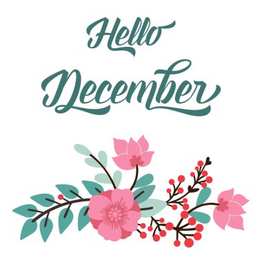 Modern calligraphy card hello december, with shape art of pink flower frames blooms. Vector
