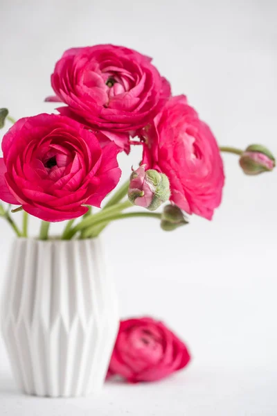 Red ranunculus in a vase — Stock Photo, Image