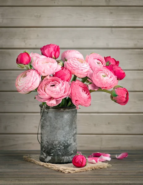 Rosa ranunculus i en vas — Stockfoto