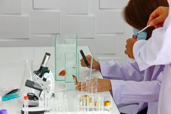 Läkaren, forskaren blandar nytt läkemedel, produkt med laboratorieutrustning — Stockfoto