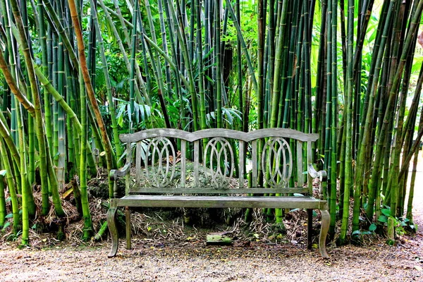 Banc Vintage Bois Dans Jardin Avec Fond Bambou — Photo