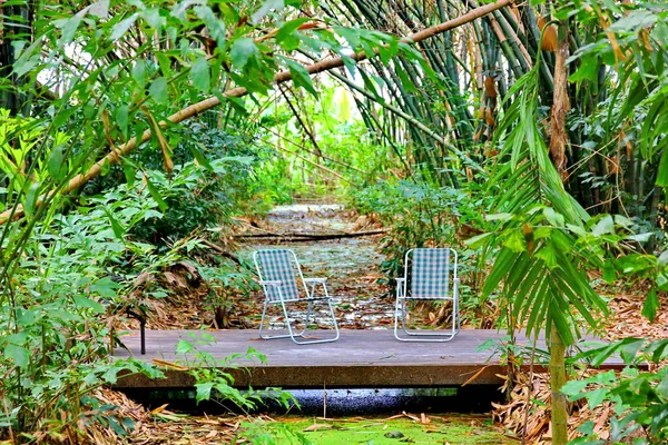 Deux Chaises Bleues Sur Plancher Bois Dans Jardin — Photo