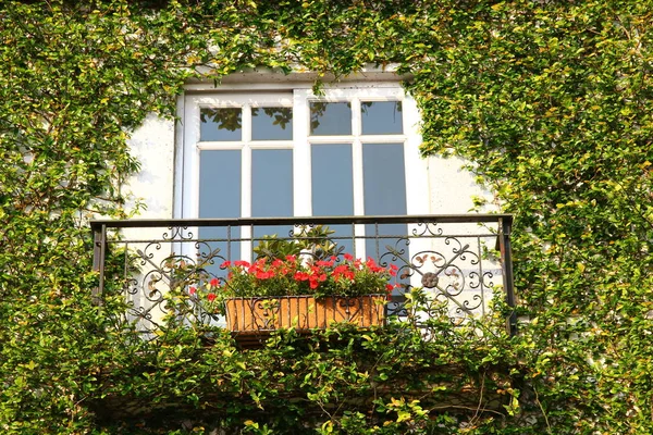 the top view of the France village style is beautiful and passion architecture.