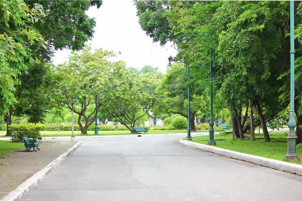 Fresh Air Park Green Area Create Good Environment City People — стоковое фото