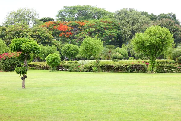 Fresco Parque Área Verde Criar Bom Ambiente Cidade Para Pessoas — Fotografia de Stock