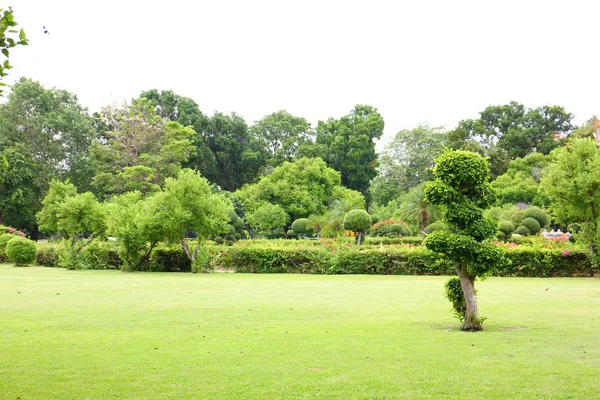 Fresco Parque Área Verde Criar Bom Ambiente Cidade Para Pessoas — Fotografia de Stock