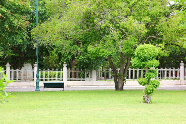 fresh air in park.green area create a good environment in the city for people to have outdoor activities.