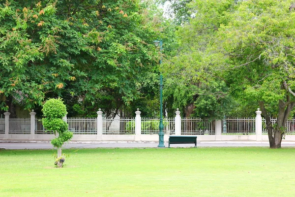 Frisse Lucht Het Park Groene Omgeving Creëren Van Een Goede — Stockfoto