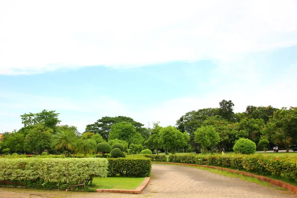 公園の新鮮な空気 Greenエリアは 人々が屋外活動を持っている都市の良い環境を作成します — ストック写真