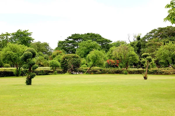 fresh air in park.green area create a good environment in the city for people to have outdoor activities.
