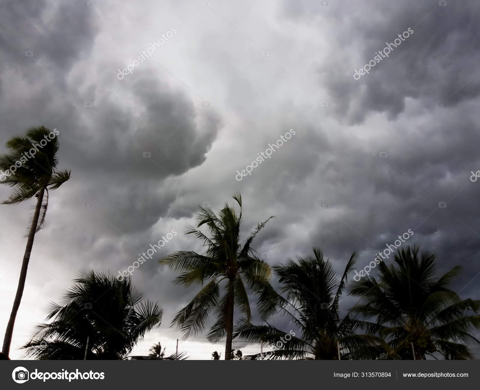 台風竜巻ハリケーン嵐が来る前の灰色の雲 ストック写真 C Saojung9194 Gmail Com