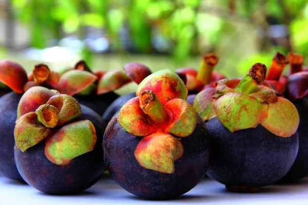 Grupo Mangostão Tropical Fruto Tailandês Famoso — Fotografia de Stock