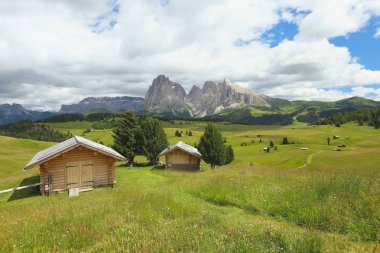 Alpin çayır Alpe di Siusi, South Tyrol görünümünü