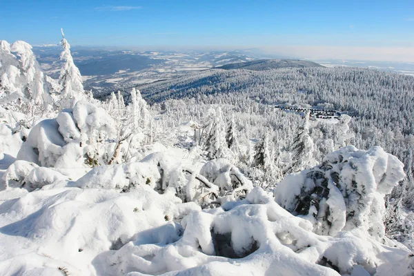 Winter Blick Auf Den Berg Jested Tschechische Republik — Stockfoto