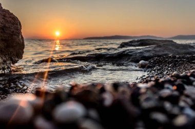 gündoğumu deniz manzara ağaç