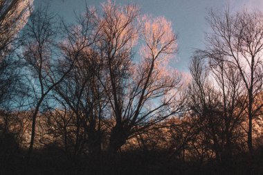 gün batımı şehir göl ağaç manzara