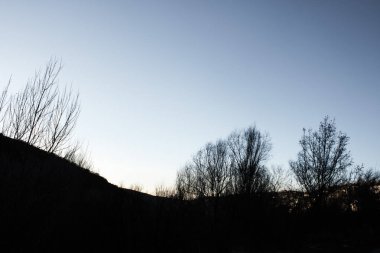 gün batımı şehir göl ağaç manzara