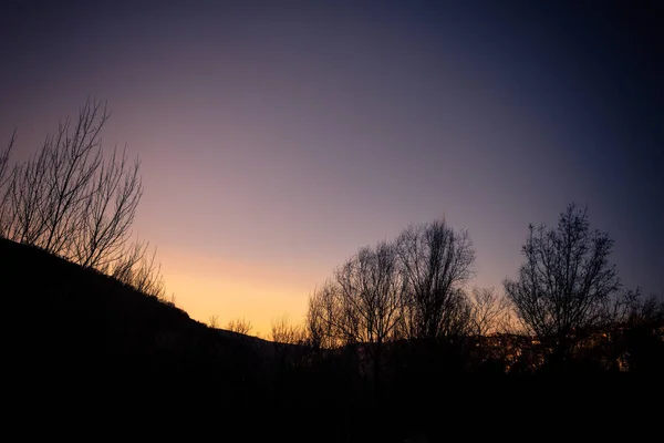 Solnedgången Staden Sjön Träd Landskap — Stockfoto