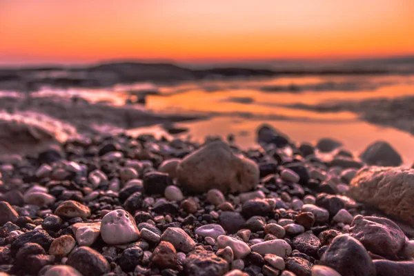 Sonnenaufgang Sonne Meer Muschel — Stockfoto