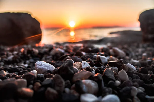 Солнце Восход Морской Раковины — стоковое фото