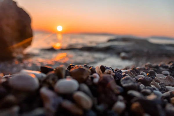sunrise sun sea sea shell