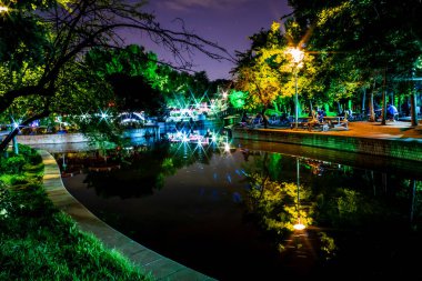 gece renkli park peyzaj