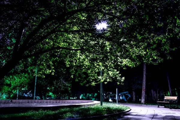 Nacht Kleurrijke Parklandschap — Stockfoto