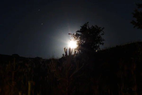 Nuit Étoiles Lune Nature — Photo