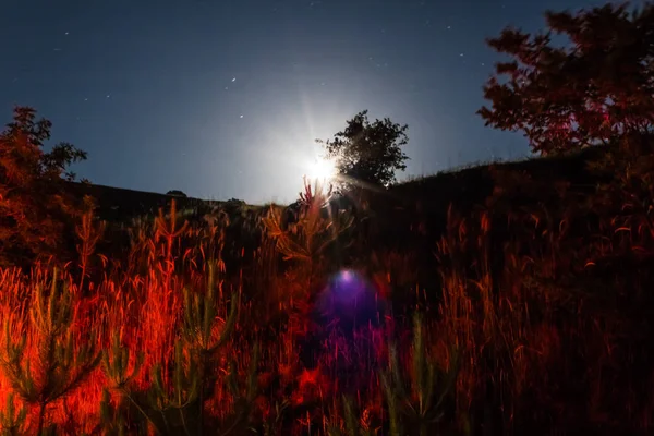 Nuit Étoiles Lune Nature — Photo