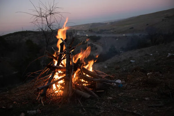 Kamp Ateşi Doğa Gece — Stok fotoğraf