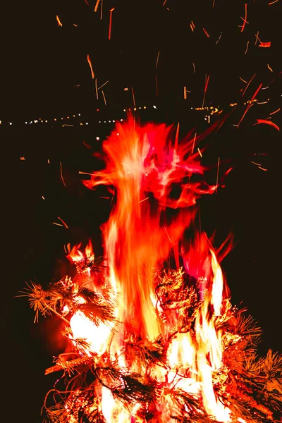 Kamp Ateşi Doğa Gece — Stok fotoğraf